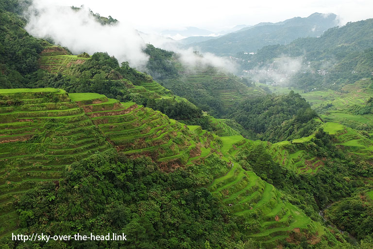 バナウェ ビューポイントの棚田（フィリピン）／Banaue view point of the rice terraces (Philippines)