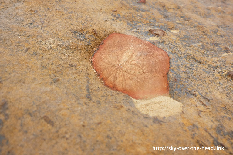 野柳地質公園（台湾）／Yehliu Geological Park (Taiwan)