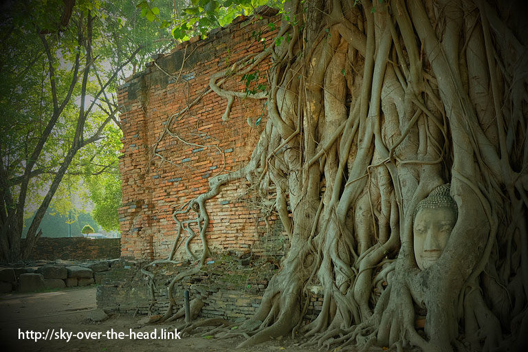 ワット・マハタート（アユタヤ／タイ）／Wat Phra Mahatha（Ayutthaya/Thailand）