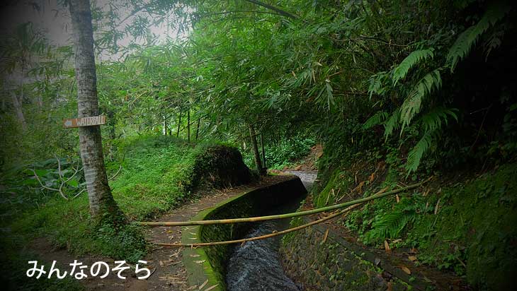 秘境！トゥカッド・チュプン（Tukad Cepung Waterfall）の滝