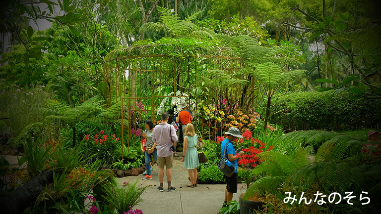 【世界遺産】シンガポール植物園（Singapore Botanic Gardens）