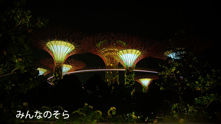 空中散歩したよ！ガーデンズ・バイ・ザ・ベイ「OCBC Skyway（スカイウェイ）」
